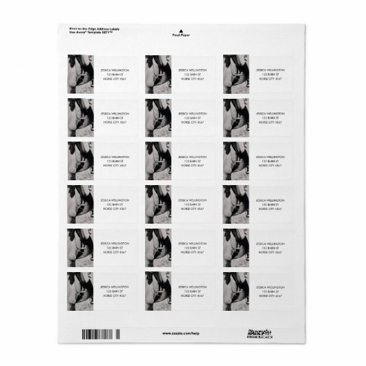 Modern Equestrian Horse Riding Fotoadres Etiket (Full Sheet)