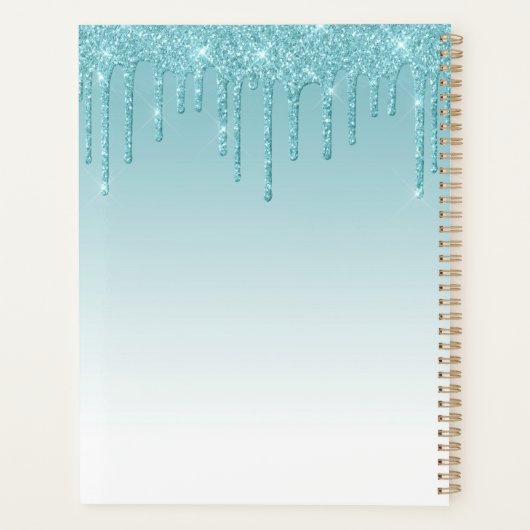 Modern fashionable Aqua Glitter Monogram Planner (Achterkant)