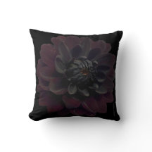 Modern Floral Black Dahlia Flower