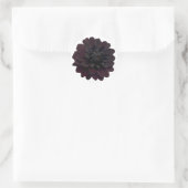 Modern Floral Black Dahlia Flower Ronde Sticker (Tas)