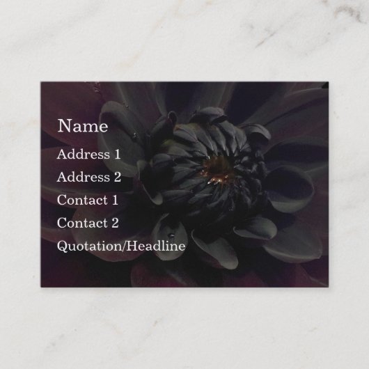 Modern Floral Black Dahlia Flower Visitekaartje (Voorkant)