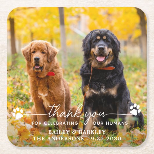 Modern fotoscript bedankt Dog Pet Wedding Kartonnen Onderzetters (Voorkant)