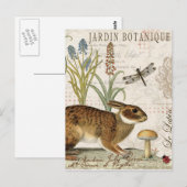 modern  frans konijn in de tuin briefkaart (Voorkant / Achterkant)