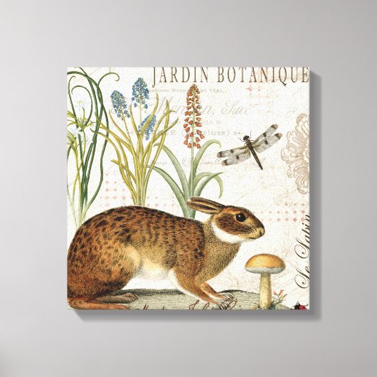 modern  frans konijn in de tuin canvas afdruk (Voorkant)