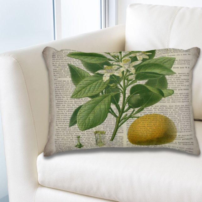 modern  frans land - botanische kunst oranje accent kussen (modern vintage french country botanical art orange accent pillow)