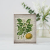 modern  frans land - botanische kunst oranje briefkaart (Staand voorkant)