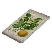 modern  frans land - botanische kunst oranje magneet (Linkerzijde)