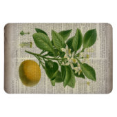 modern  frans land - botanische kunst oranje magneet (Horizontaal)