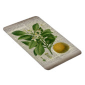 modern  frans land - botanische kunst oranje magneet (Rechterzijde)