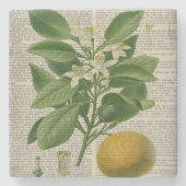 modern frans land - botanische kunst oranje stenen onderzetter (Voorkant)