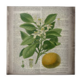 modern  frans land - botanische kunst oranje tegeltje (Voorkant)