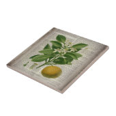 modern  frans land - botanische kunst oranje tegeltje (Zijkant)