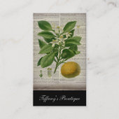 modern  frans land - botanische kunst oranje visitekaartje (Voorkant)