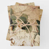 Modern Frans Scripts vogelbotanisch Inpakpapier Vel (In situ)