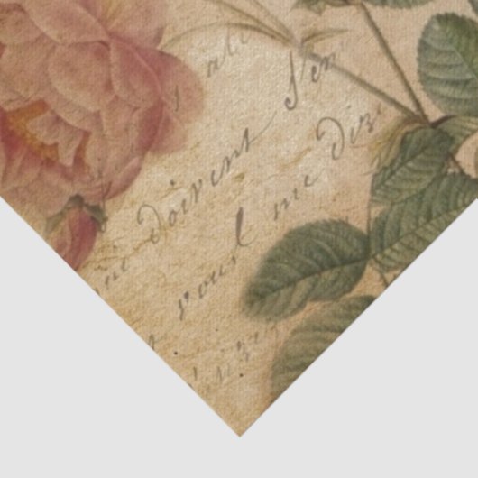 Modern Frans Scripts vogelbotanisch Tissuepapier (Detail)