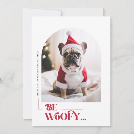 Modern Funny Dog Pet Arch Photo Christmas Feestdagenkaart (Voorkant)