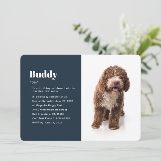 Modern Funny Pet Photo Birthday Invitation Kaart (Staand voorkant)