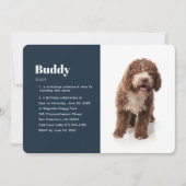 Modern Funny Pet Photo Birthday Invitation Kaart (Voorkant)