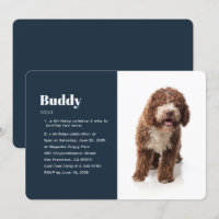Modern Funny Pet Photo Birthday Invitation