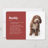 Modern Funny Pet Photo Birthday Invitation Kaart (Voorkant)