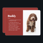 Modern Funny Pet Photo Birthday Invitation Kaart<br><div class="desc">Voeg nieuwe definities voor de naam van uw huisdier toe. Dit is een grappige en unieke uitnodiging voor de verjaardag van een huisdier

Hier beschikbaar:
http://www.zazzle.com/selectpartysupplies</div>