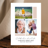 Modern galerijprogramma programma