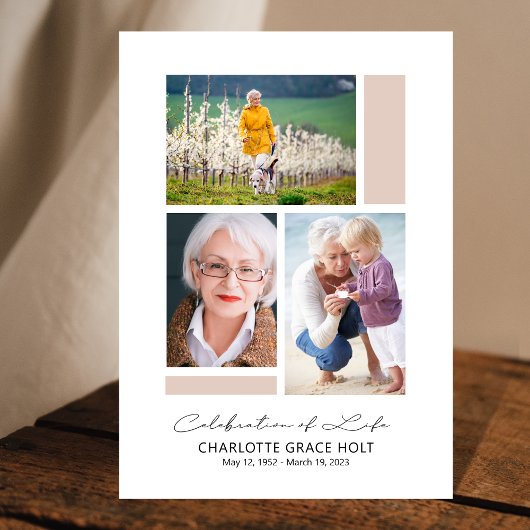 Modern galerijprogramma programma