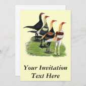 Modern Game Quartet Kaart (Voorkant / Achterkant)