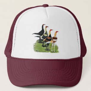 Modern Game Quartet Trucker Pet