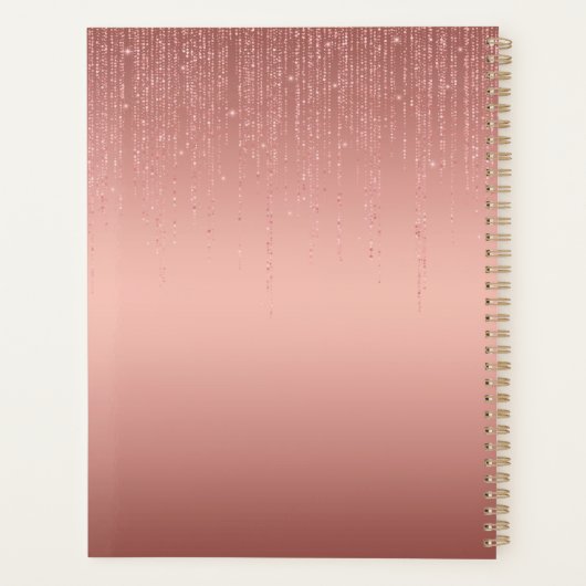 Modern Goud Roos Glitter Monogram Planner (Achterkant)