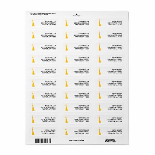 Modern Graduation Return Address Label (Full Sheet)