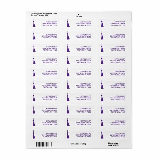 Modern Graduation Return Address Label (Full Sheet)