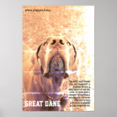 Modern Great Dane Poster groen (Voorkant)