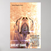 Modern Great Dane Poster groen (Voorkant)