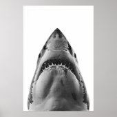 Modern Great White Shark Portret Poster (Voorkant)