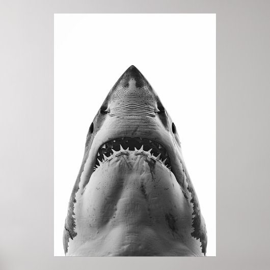 Modern Great White Shark Portret Poster (Voorkant)