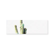 Modern Green Cactus Blue Abstract Photo Art