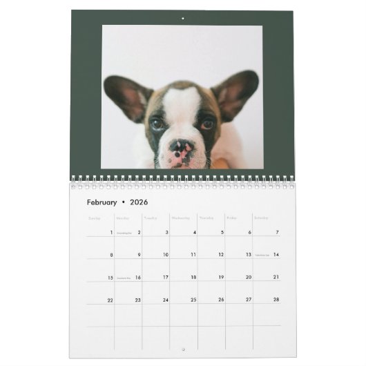 Modern Green Scrapbook Pet Photo  Kalender (Feb 2026)