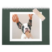 Modern Green Scrapbook Pet Photo  Kalender (Hoes)