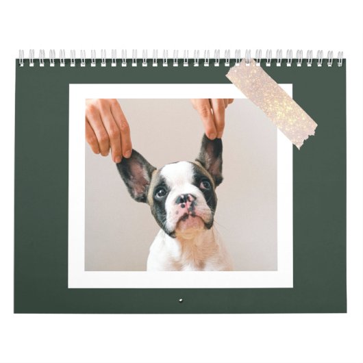 Modern Green Scrapbook Pet Photo  Kalender (Hoes)