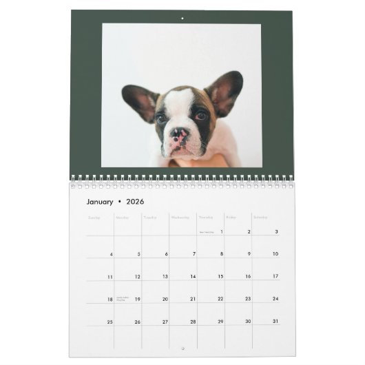 Modern Green Scrapbook Pet Photo  Kalender (Jan 2026)