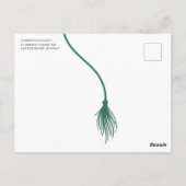 Modern Green Tassel Graduation Party Briefkaart (Achterkant)