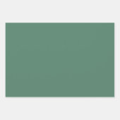 Modern groen effen kleur inpakpapier vellen (Voorkant 3)