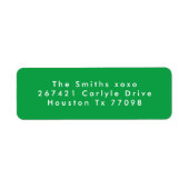 Modern groen wit feestelijk vakantie retour adres etiket (Voorkant)