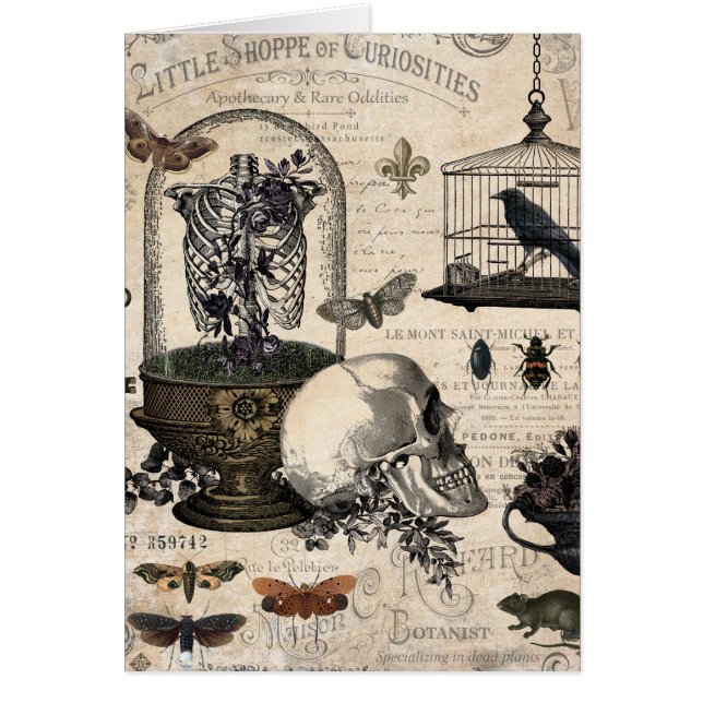 Modern  Halloween Garden (Voorkant)