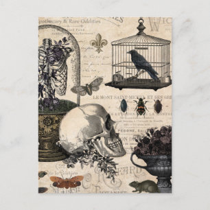 Modern  Halloween Garden Briefkaart