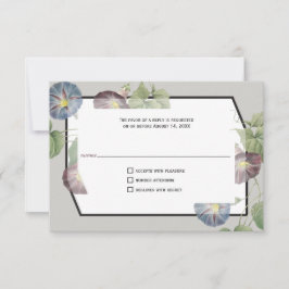 Modern Heirloom Morning Glory antwoord