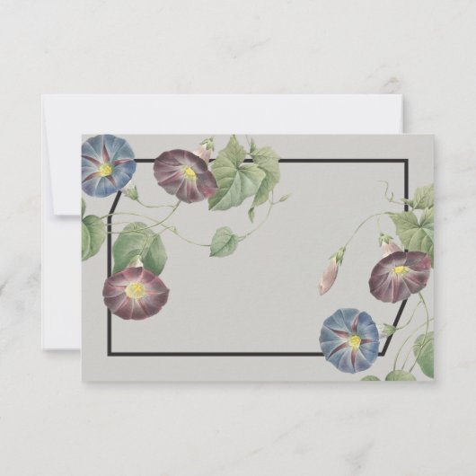 Modern Heirloom Morning Glory antwoord (Achterkant)