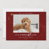 Modern Het is een WonderFUR Life Pet Foto Kerstmis Feestdagenkaart (Voorkant)