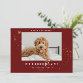 Modern Het is een WonderFUR Life Pet Foto Kerstmis Feestdagenkaart (Staand voorkant)